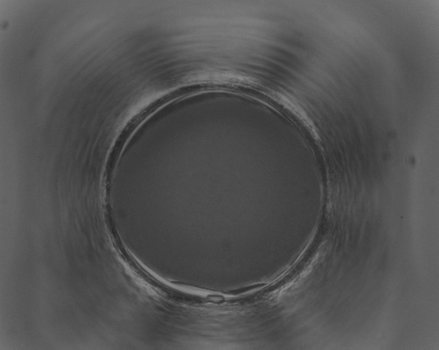 X0000089661037200707121154