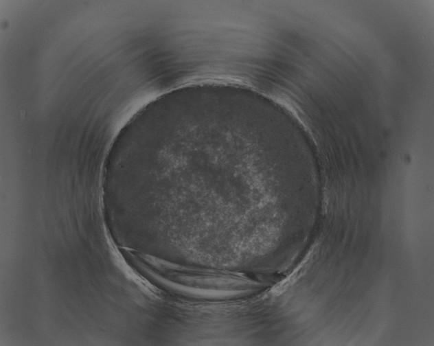 X0000089661038200707121154