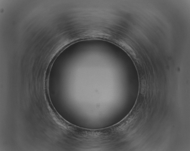 X0000089661039200707121154