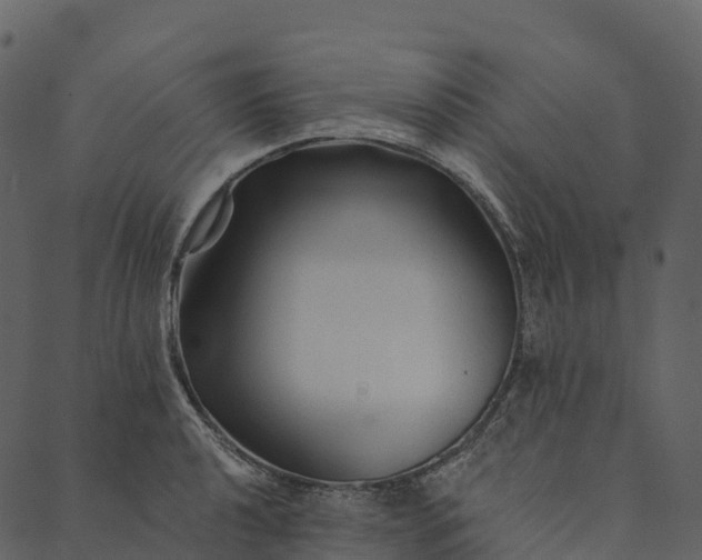 X0000089661040200707121154