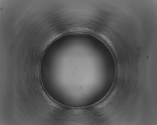 X0000089661041200707121154