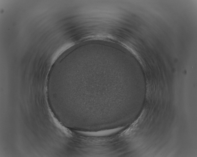 X0000089661042200707121154