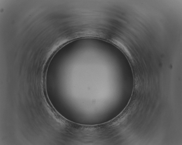 X0000089661043200707121154