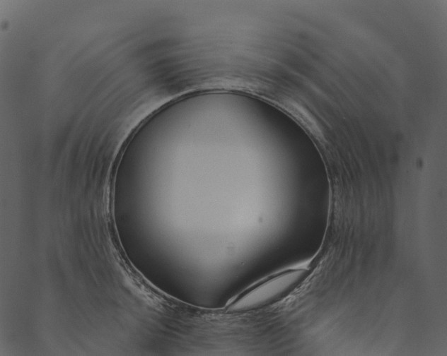 X0000089661044200707121154