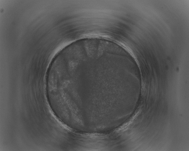 X0000089661045200707121154