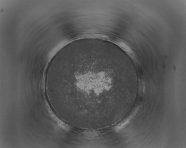 X0000089661046200707121154