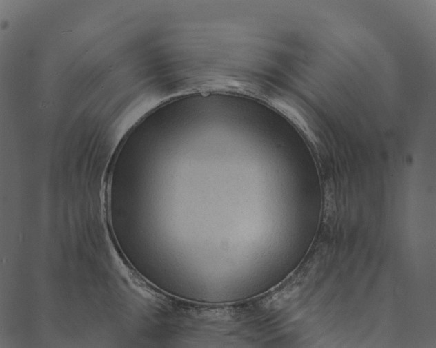 X0000089661047200707121154