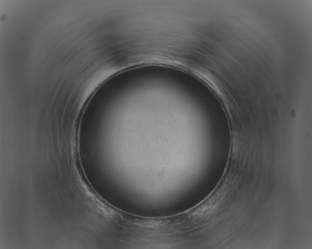 X0000089661048200707121154