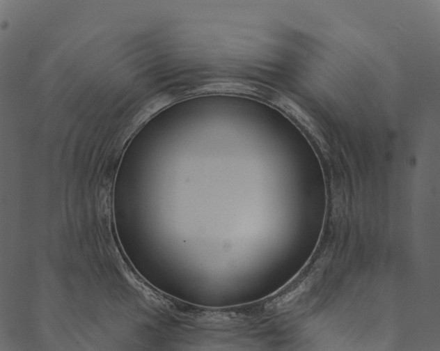 X0000089661049200707121154