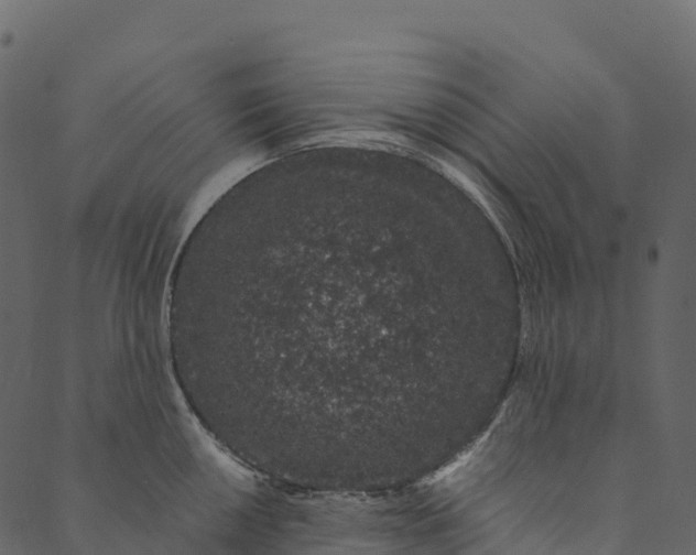 X0000089661050200707121154