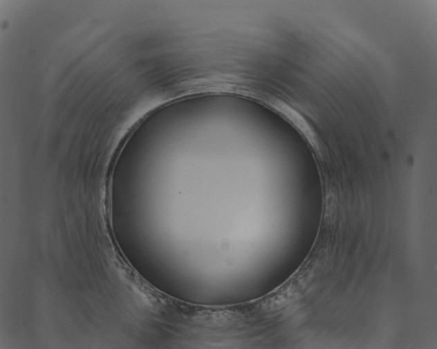 X0000089661051200707121154