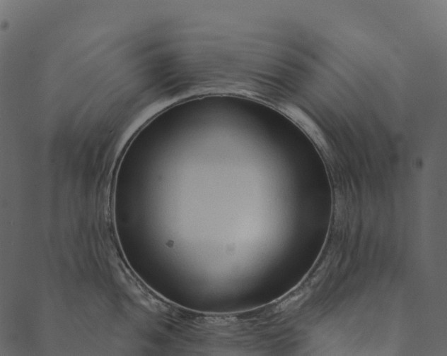 X0000089661052200707121154