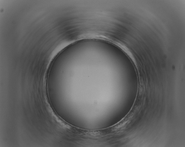 X0000089661053200707121154