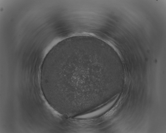 X0000089661054200707121154