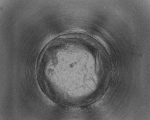 X0000089661055200707121154