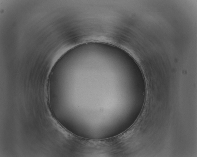 X0000089661056200707121154