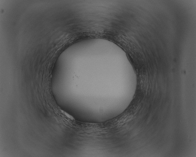 X0000089661057200707121153