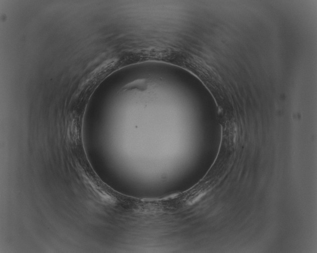 X0000089661058200707121153