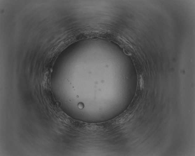 X0000089661059200707121153