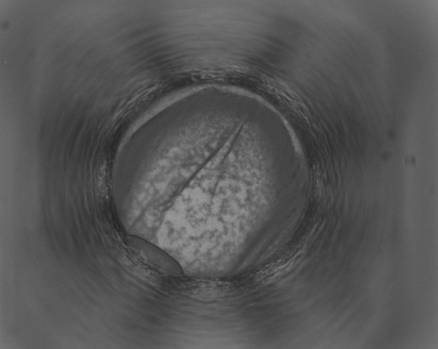 X0000089661060200707121153