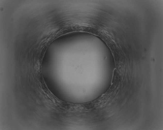 X0000089661061200707121153