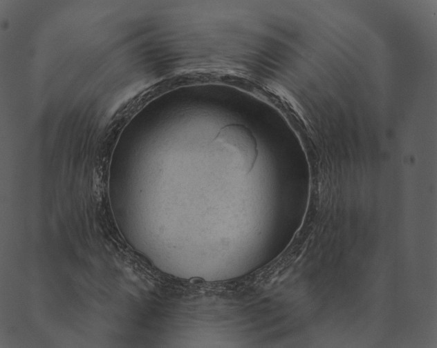 X0000089661064200707121153