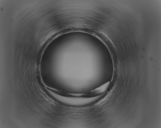 X0000089661065200707121153