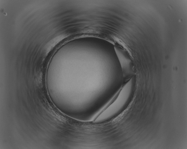 X0000089661066200707121153