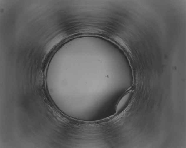 X0000089661067200707121153