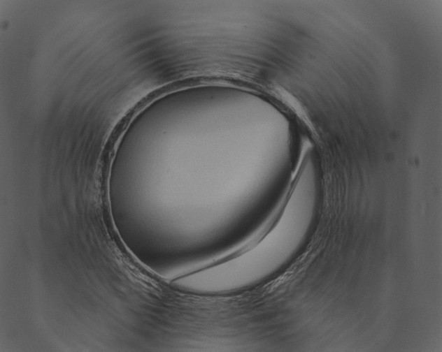 X0000089661068200707121153