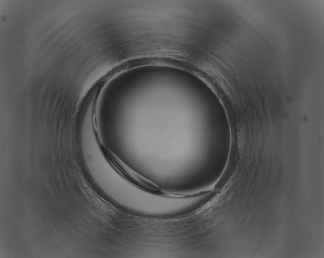 X0000089661069200707121153