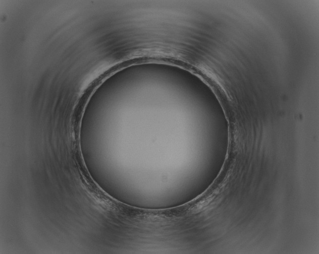 X0000089661070200707121153