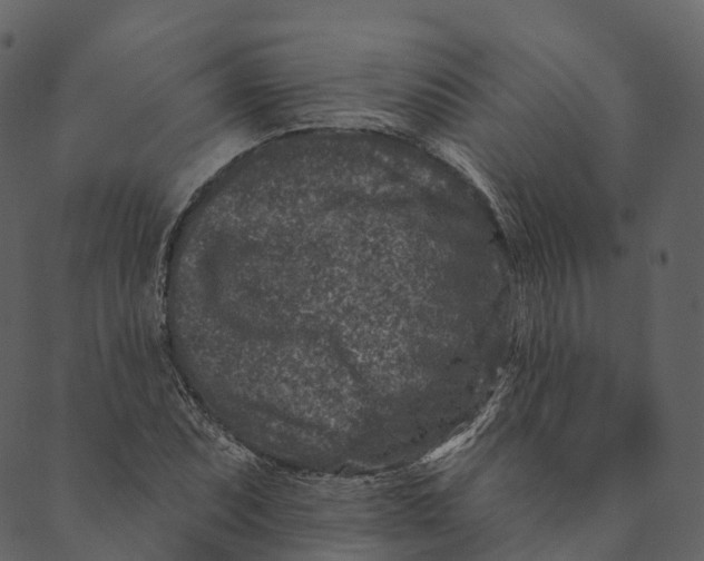 X0000089661071200707121153