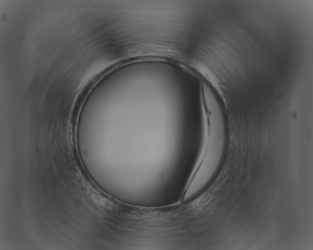 X0000089661072200707121153