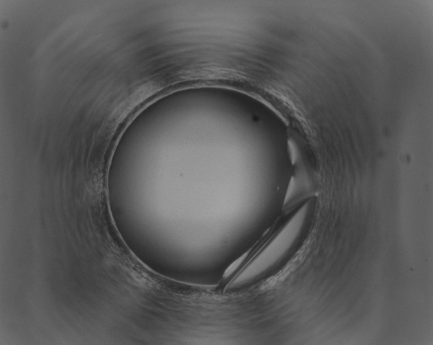 X0000089661073200707121153