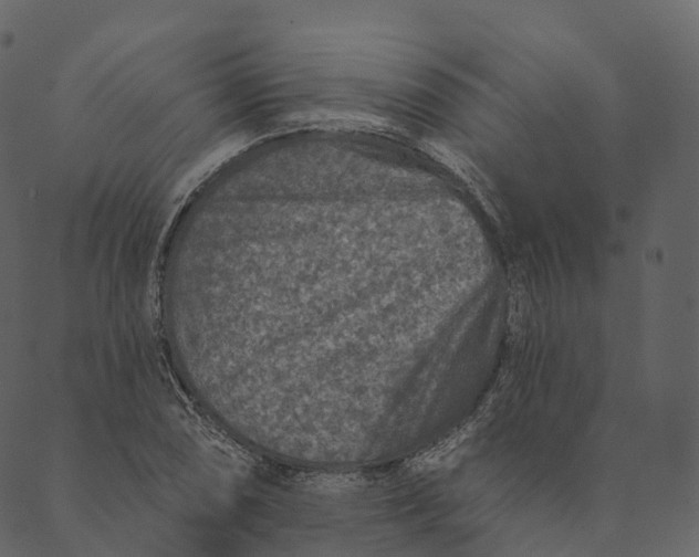 X0000089661074200707121153