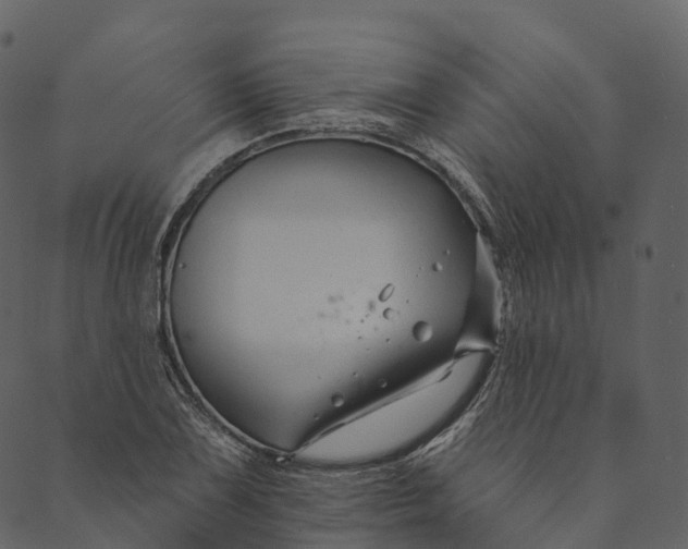 X0000089661075200707121153