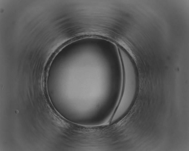 X0000089661076200707121153