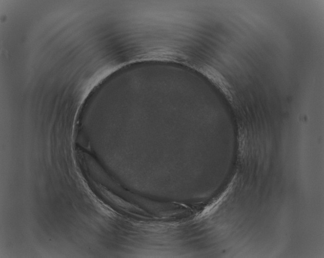 X0000089661077200707121153