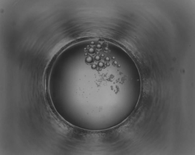 X0000089661078200707121153