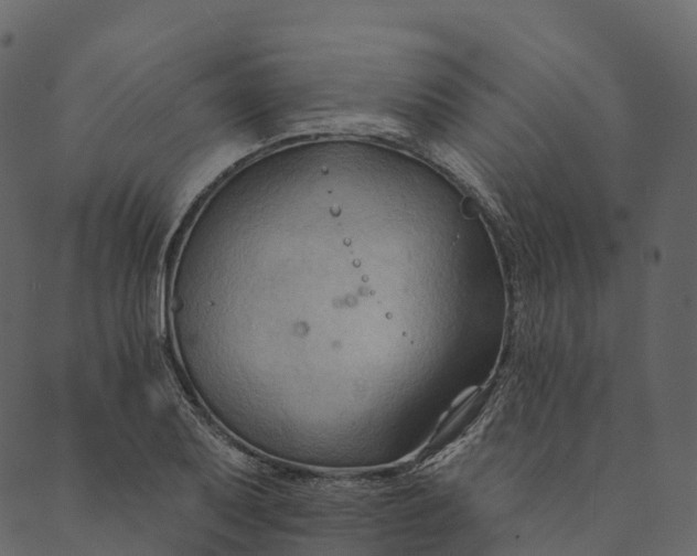 X0000089661079200707121153