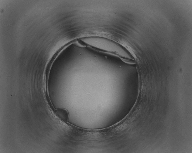 X0000089661080200707121153