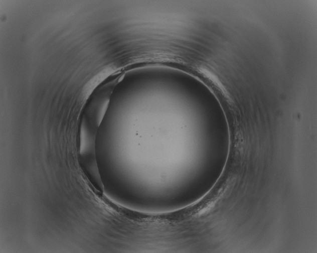 X0000089661081200707121153