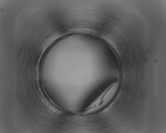 X0000089661082200707121153