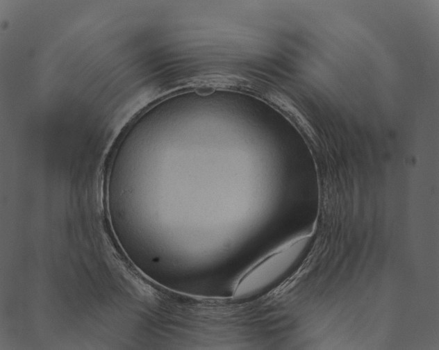 X0000089661083200707121153