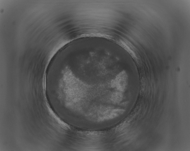 X0000089661084200707121153