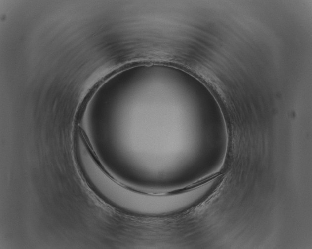 X0000089661085200707121153