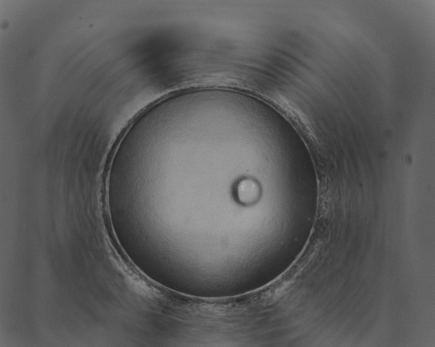 X0000089661086200707121153