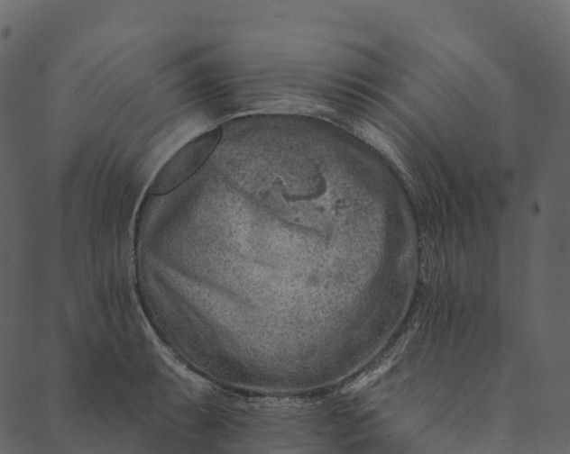 X0000089661087200707121153