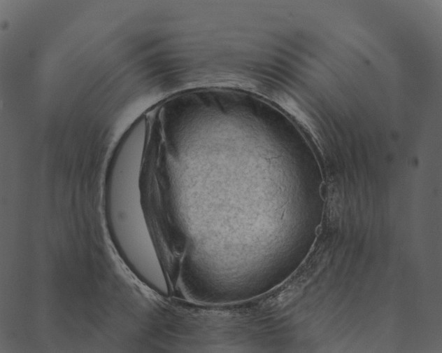 X0000089661088200707121153